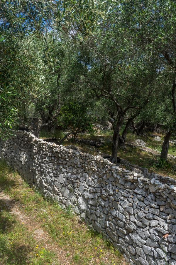 Villa Elaia Suites & Apartments No.1 Gaios Dış mekan fotoğraf